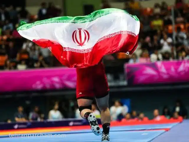 نقش پرچم در ورزش کشورها